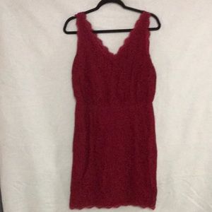 Sexy Form fitting Red Lace Dress